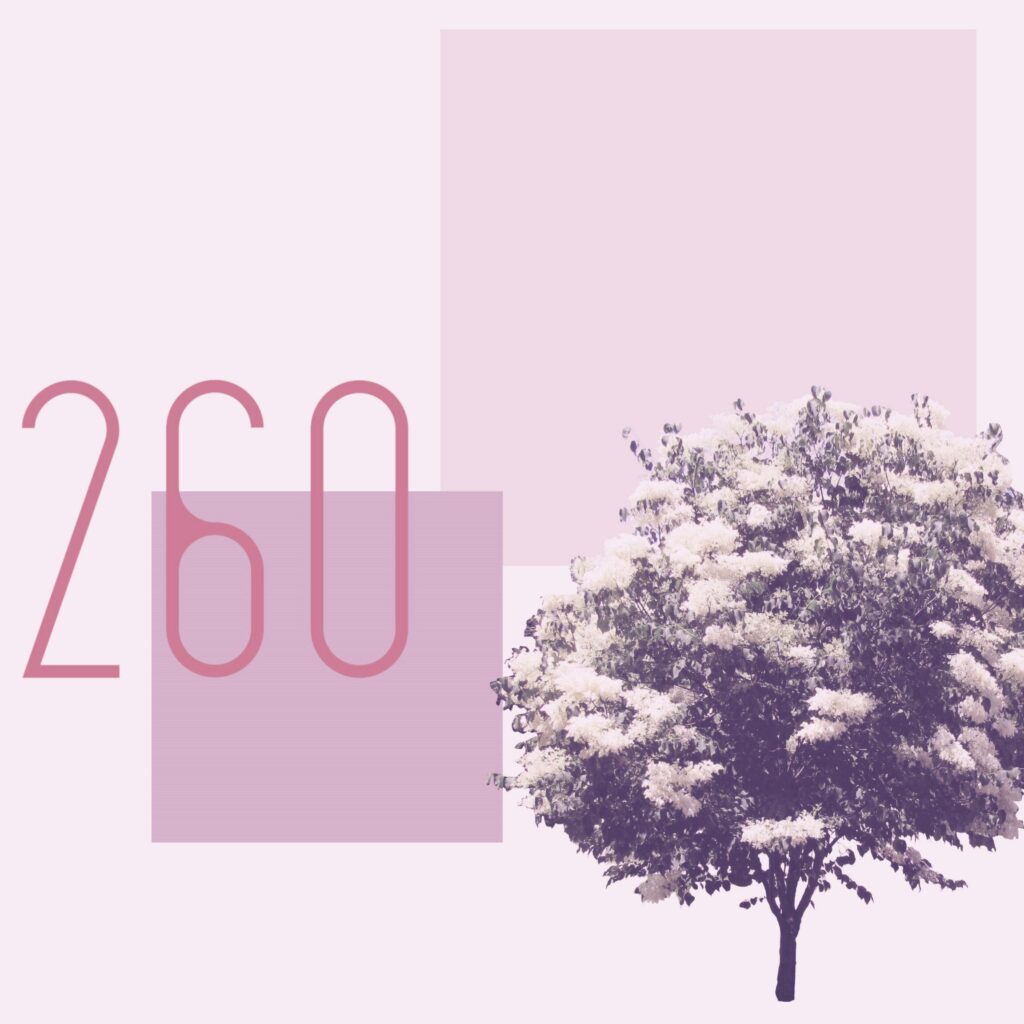 moodboard for the apartment building, including a tree, street address in a simple, thin font, and colour swatches.